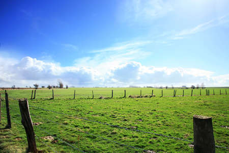 Green pasture in Le Nord enclosed with barbed wire fence. Intensive green and the sky with billowy clouds(cumulus ). Computer manipulation. France. の写真素材