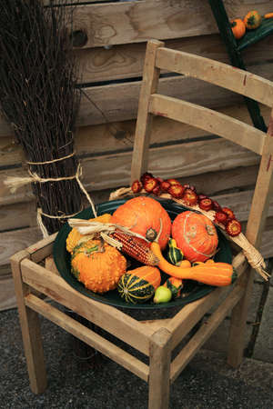 Picturesque small decoration in farm in Belgian with still life, holiday of the pumpkin Halloween Day.  Autumn crops.の写真素材