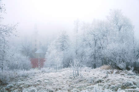 Impeded visibility during foggy, gloomy winter day. Pasterka village in Poland. Beginning of winter.の写真素材
