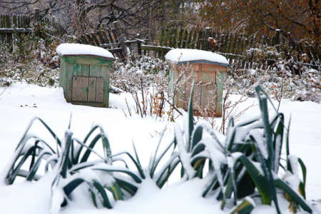 Vegetable garden with beehives covered with first snow  Winter garden 
