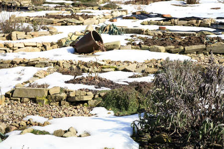 Formal herbs and vegetable country garden. Rustic garden by early spring.の写真素材