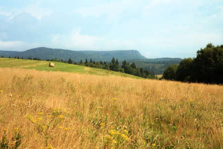Hay harvest on meadow in Pasterka village, Poland, Table Mountains travel destination.