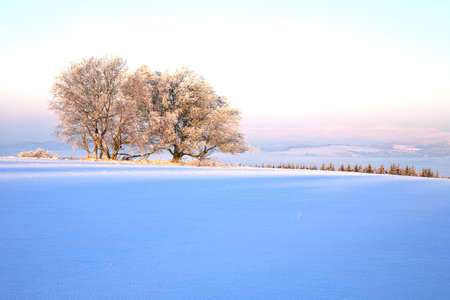 Winter meadow in Table Mountains in Poland Sudetes by sunrise.
