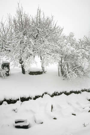 Weather anomaly. Snow in May. Garden covered with snow after snowstorm. Europe. Gloomy day.の写真素材