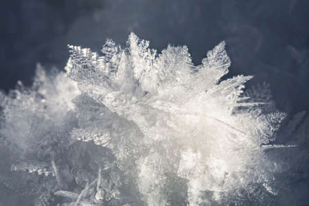 Natural snow crystals. Very frosty weather in the mountains. Macro photography