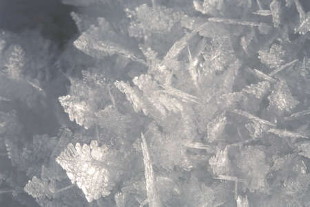 Natural snow crystals. Very frosty weather in the mountains. Macro photography