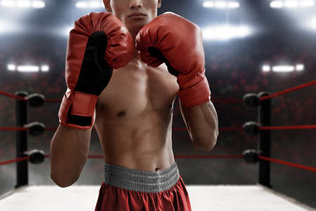 Boxer on the ring