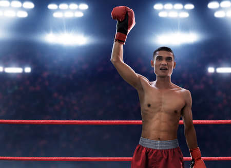 Boxer winning the matchの写真素材