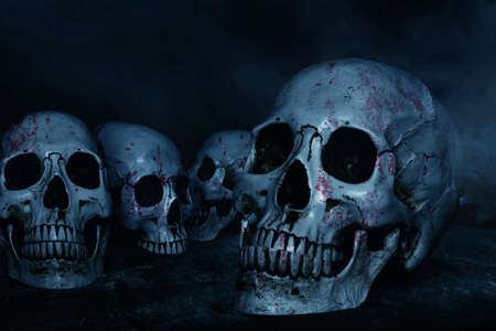 Human skulls on dark background