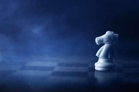 White chess knight on chess boardの写真素材