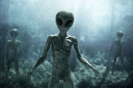 Aliens creature in the forestの写真素材