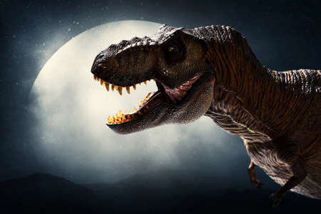 Dinosaur, Tyrannosaurus Rex on dark backgroundの写真素材