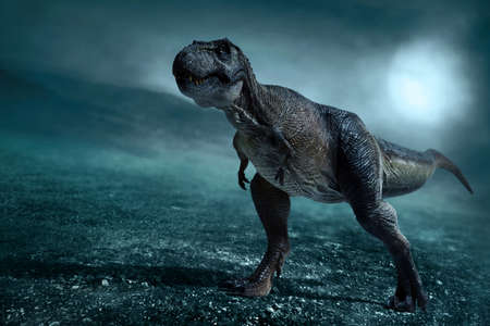 Dinosaur, Tyrannosaurus Rex on dark backgroundの写真素材