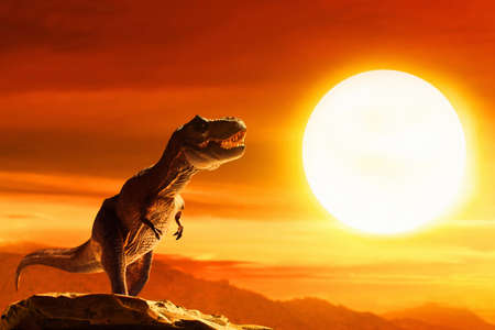 Dinosaurs 3d rendering, Set of Stegosaurus isolated on white backgroundの写真素材
