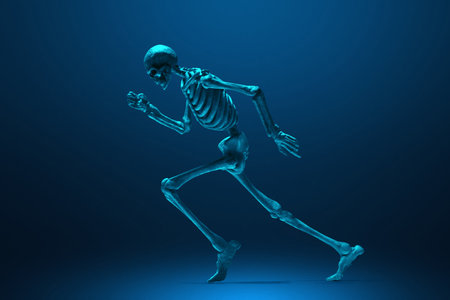 Human skeleton on dark backgroundの写真素材