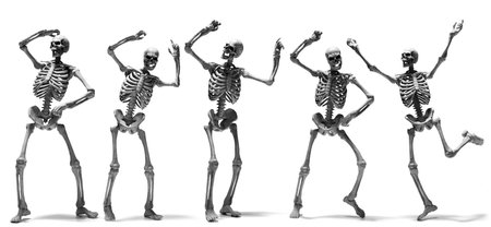 Human skeleton on dark backgroundの写真素材