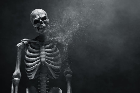 Human skeleton on dark backgroundの写真素材
