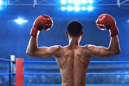 Boxer on the ring, sport themeの写真素材