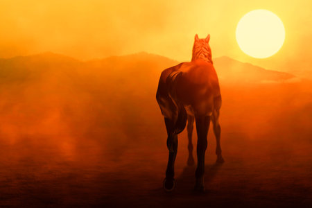 Back view of horse walking at sunsetの写真素材