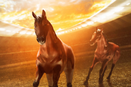 Two horses running at sunsetの写真素材