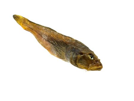 Dried fish isolated on a white background