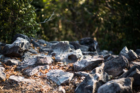 The rock stone on mountain.の写真素材