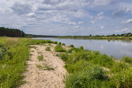 Bank of River Bug near Szumin village, Mazowsze region of Poland