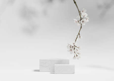 3D background, white podium. Cube display, sakura white flower tree branch. Cosmetic or beauty product promotion step stone floral pedestal. Abstract minimal advertise. 3D render copy space templateの写真素材