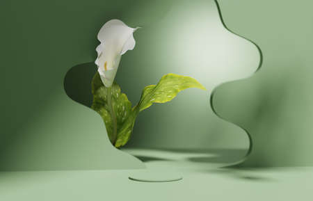3D display podium pastel green background. White flower with leaf. Nature Blossom minimal pedestal for beauty, cosmetic product presentation. Summer and spring Feminine copy space template 3d renderの写真素材
