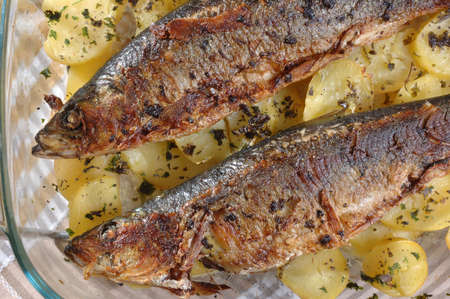 roasted  herring with cooked  potatoの写真素材