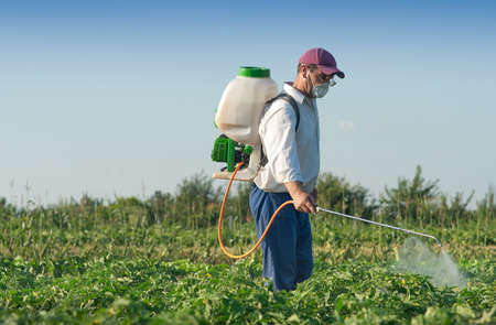 Man spraying vegetables in the gardenの写真素材