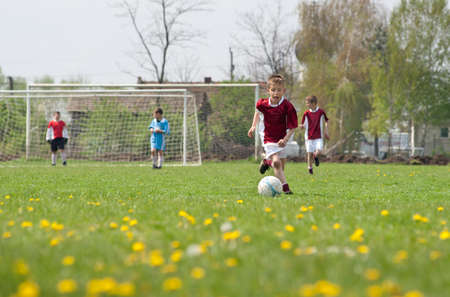 Little Boy  playing soccer on the sports fieldの写真素材