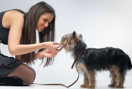 girl and dogの写真素材