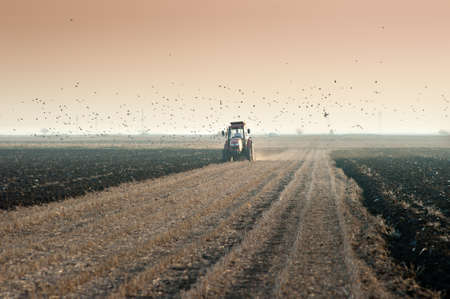 Red Tractor Plowing in dusk