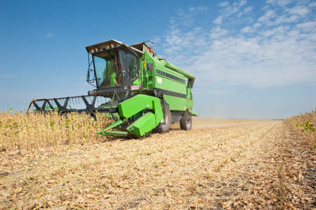 A farmer combines a field of soybeans