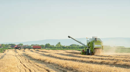 A combine harvester working in a wheat fieldの写真素材