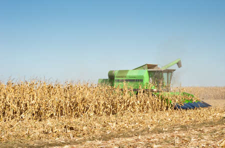 combine harvesting a corn field の写真素材