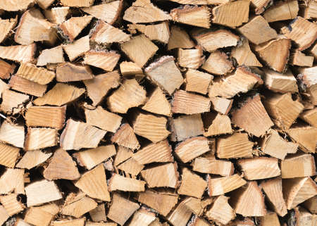 Firewood texture, after the sawing wood