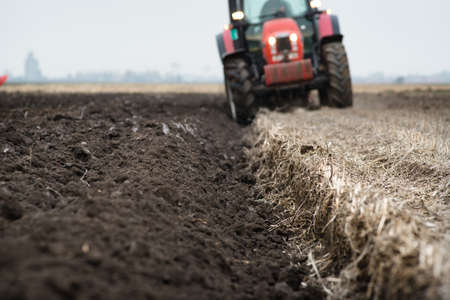 Red Tractor Plowing in Autumn