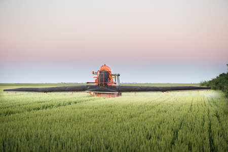 Tractor spraying wheat in the springの写真素材
