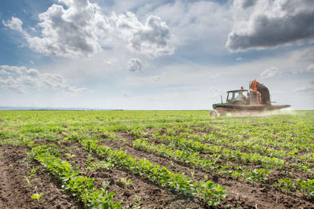 Tractor spraying soy in the springの写真素材