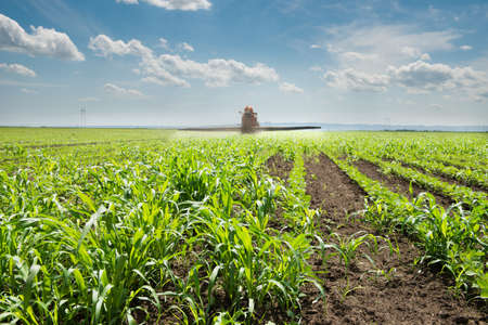Tractor spraying soy in the springの写真素材