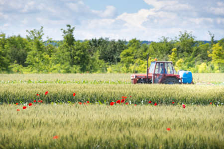 Tractor spraying wheat in the springの写真素材