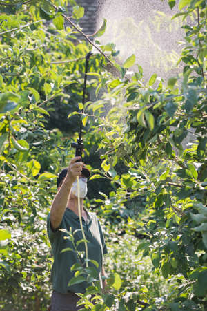  worker spraying pesticide on fruit trees