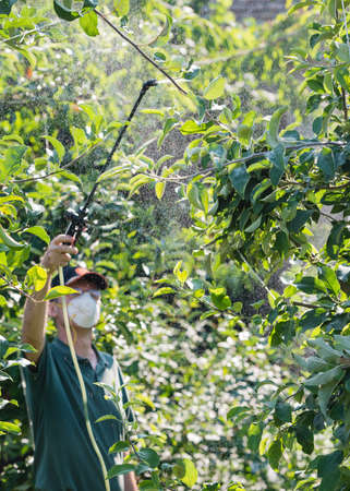  worker spraying pesticide on fruit trees