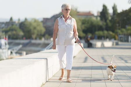Senior woman walking her dogの写真素材