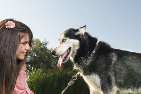 girl and her faithful huskyの写真素材
