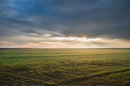  sunset over the wheat fieldの写真素材