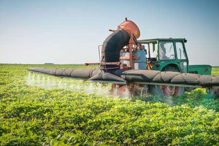 tractor spraying pesticides on soy beanの写真素材
