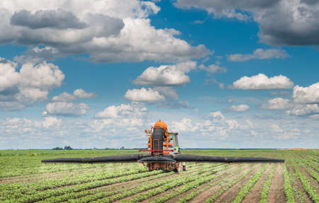 Tractor spraying a crop field on farmの写真素材